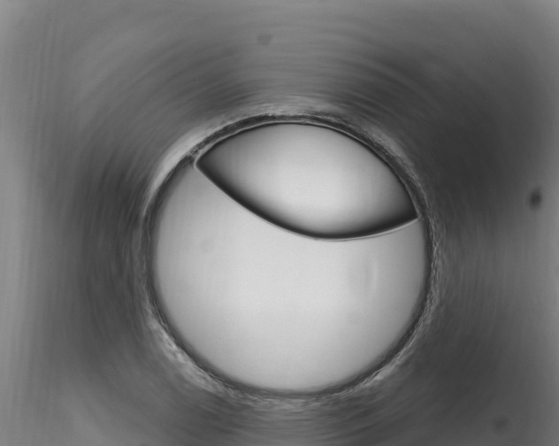 X0000116281122200911301034