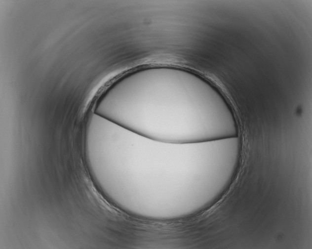 X0000116281123200911301034
