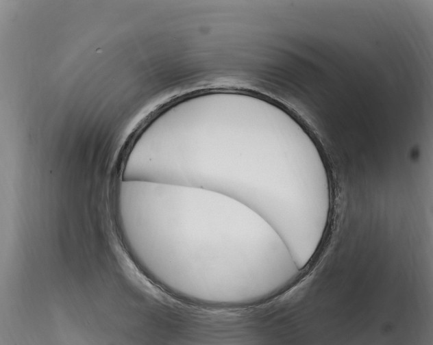X0000116281126200911301034
