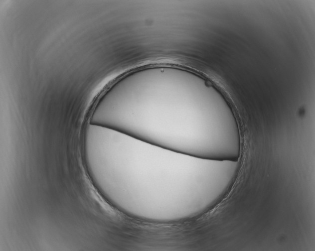 X0000116281127200911301034