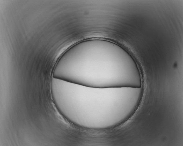 X0000116281129200911301034