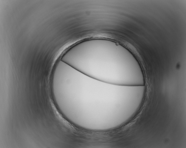 X0000116281133200911301034