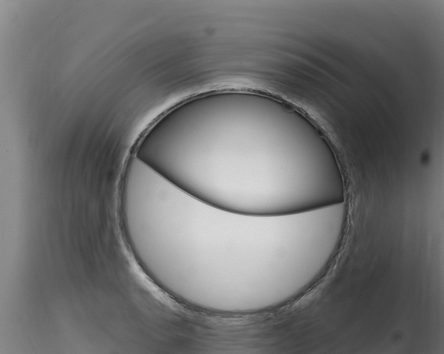 X0000116281134200911301034