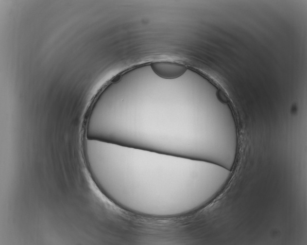 X0000116281135200911301034