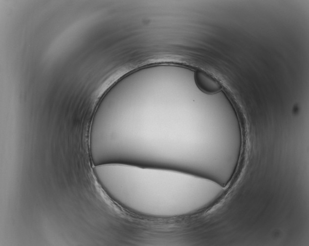 X0000116281137200911301034