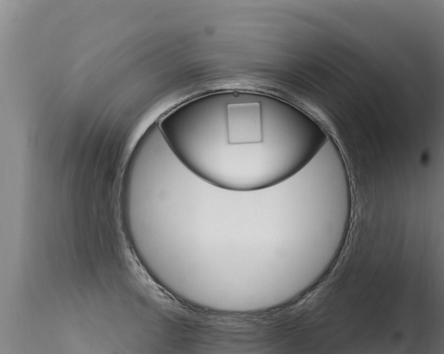 X0000116281138200911301035