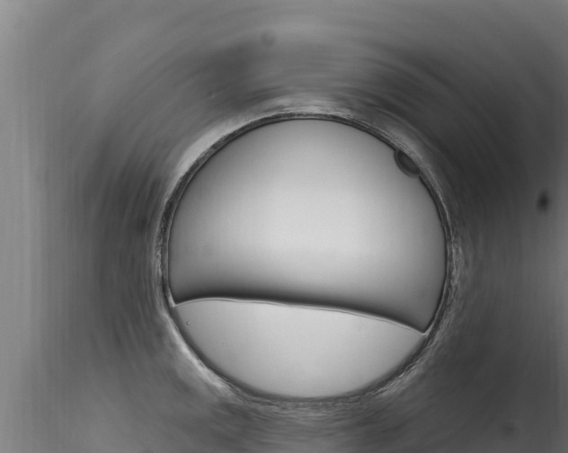 X0000116281141200911301035