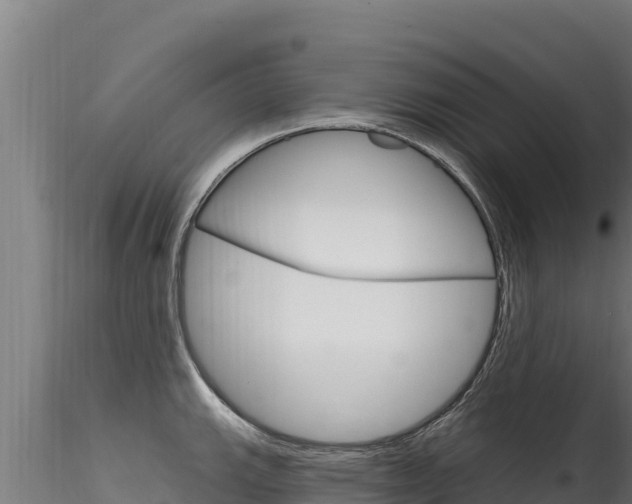 X0000116281143200911301035