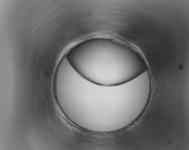 X0000116281146200911301035