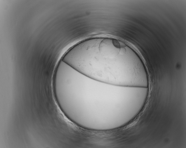 X0000116281149200911301035