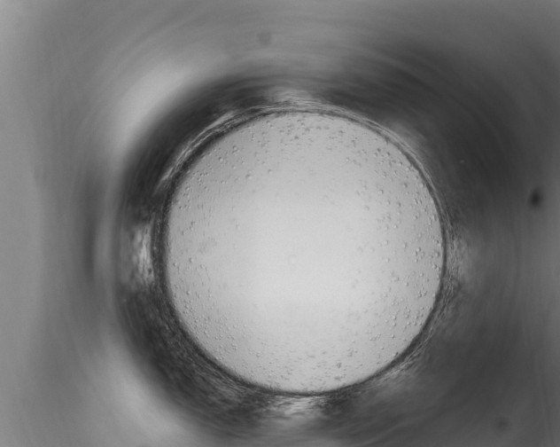 X0000116281150200911301035