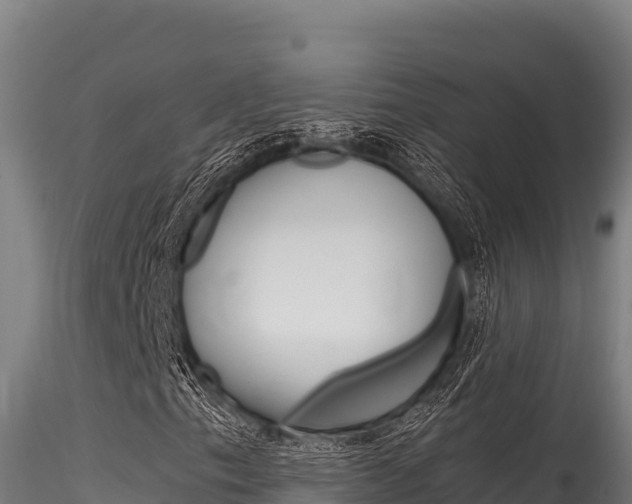 X0000116281153200911301034