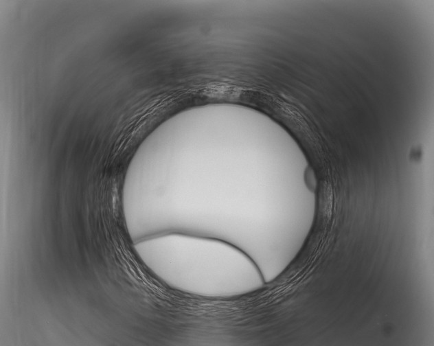 X0000116281154200911301034