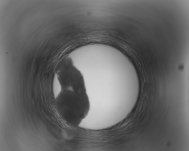 X0000116281155200911301034