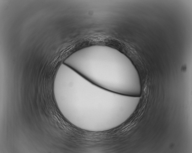 X0000116281156200911301034