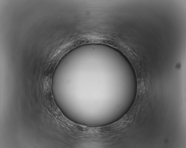 X0000116281157200911301034