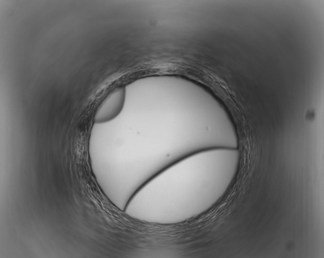 X0000116281158200911301034