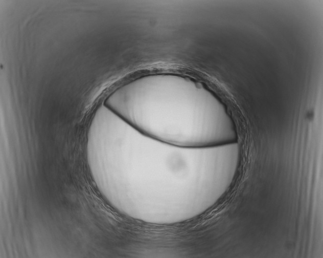X0000116281160200911301034