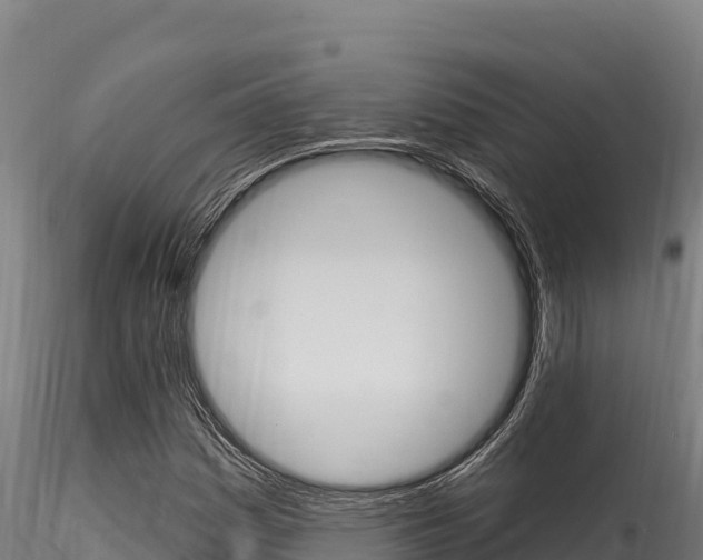 X0000116281161200911301034