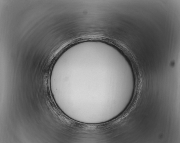X0000116281162200911301034