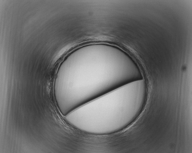 X0000116281163200911301034