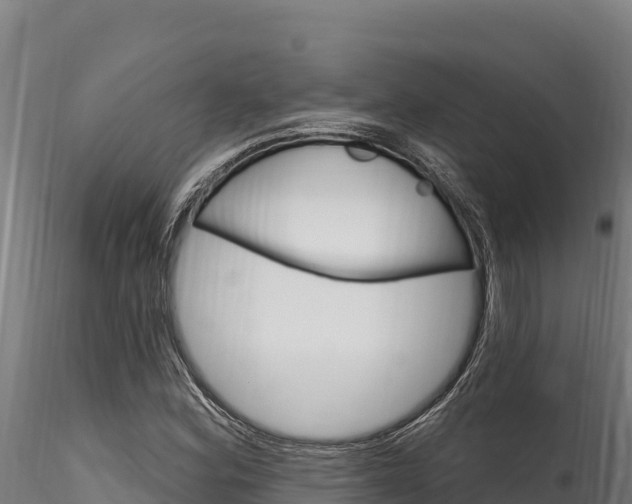 X0000116281164200911301034