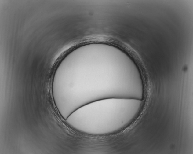 X0000116281166200911301034