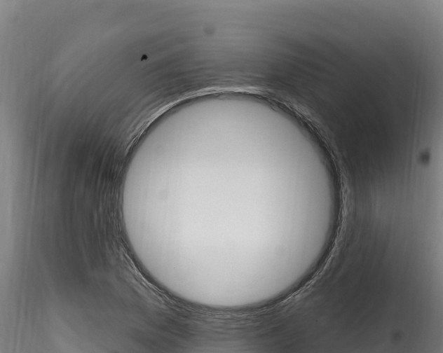 X0000116281169200911301034