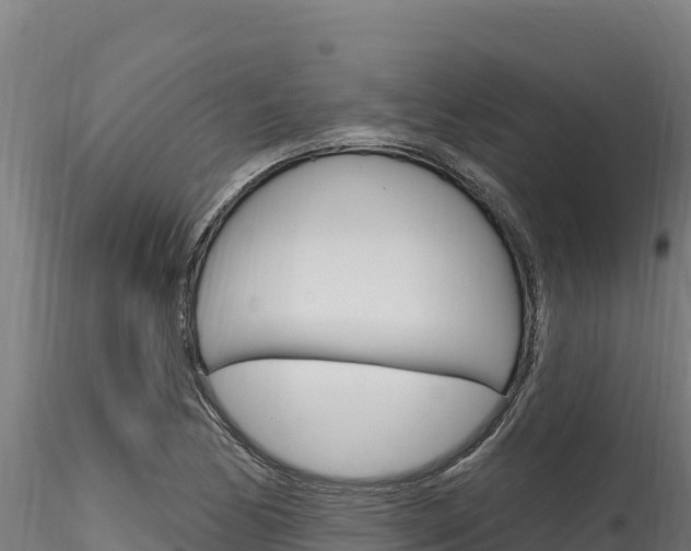 X0000116281170200911301034