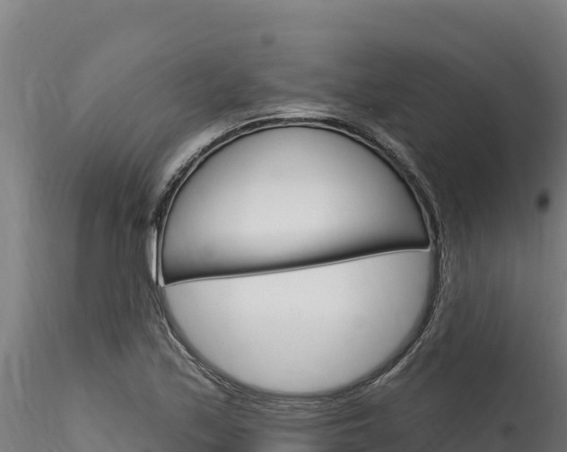 X0000116281171200911301034