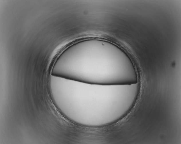X0000116281172200911301033