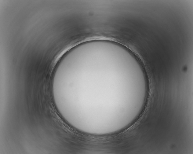 X0000116281173200911301033
