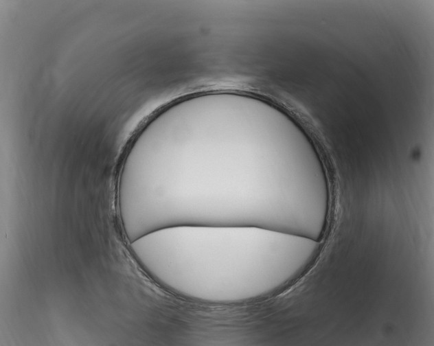 X0000116281174200911301033