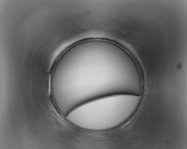 X0000116281175200911301033