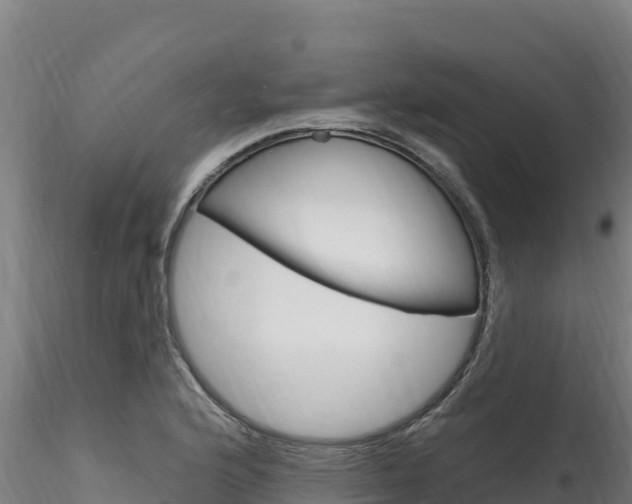X0000116281176200911301033