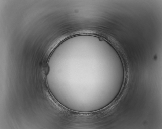 X0000116281177200911301033