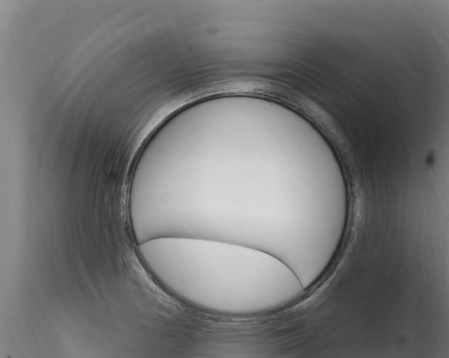 X0000116281178200911301033