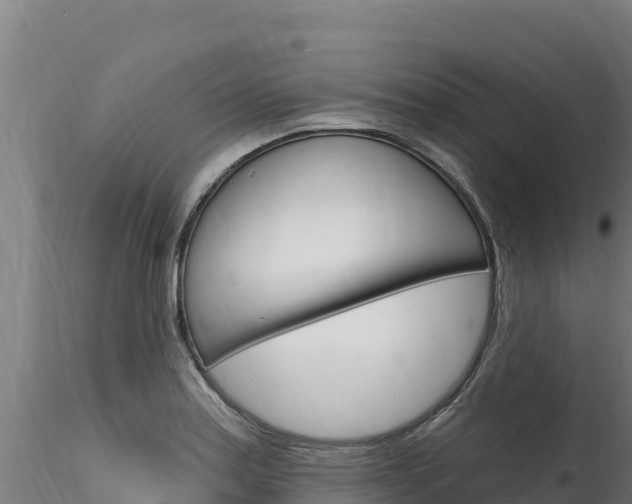 X0000116281179200911301033