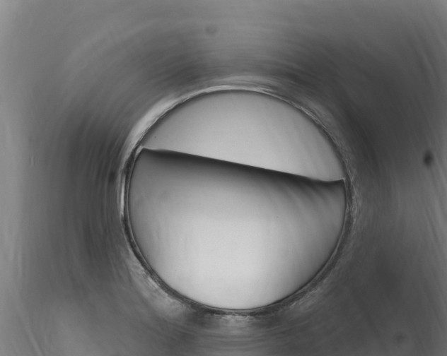 X0000116281180200911301033