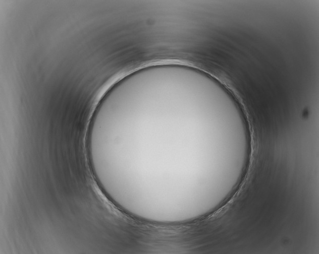 X0000116281181200911301033