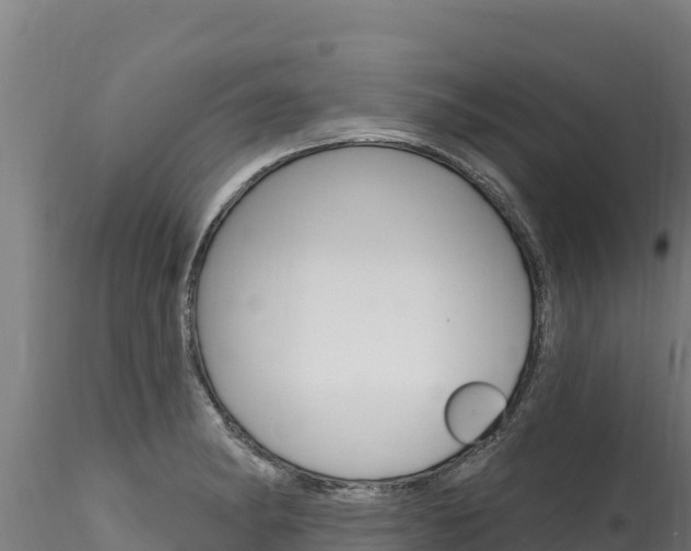 X0000116281182200911301033
