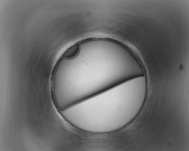 X0000116281183200911301033