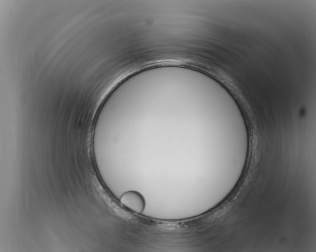 X0000116281186200911301033