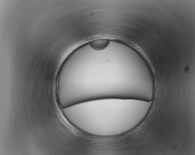 X0000116281187200911301033