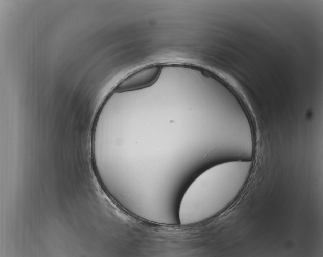 X0000116281191200911301033
