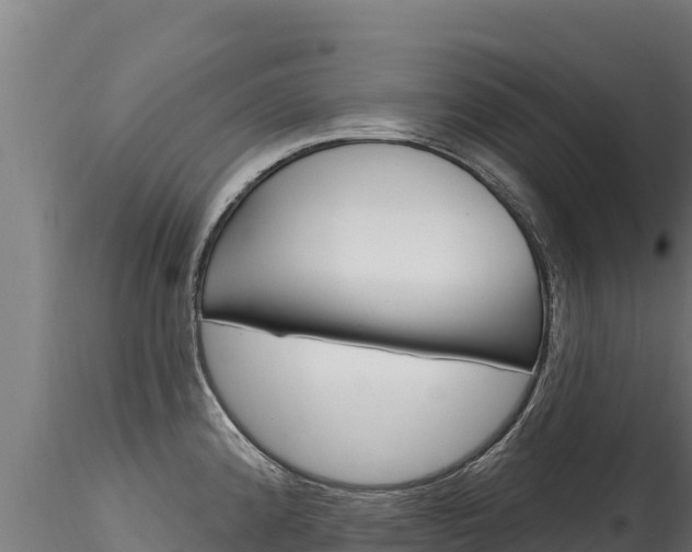 X0000116281192200911301033