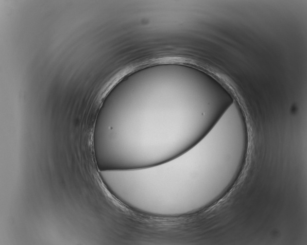 X0000116281193200911301033