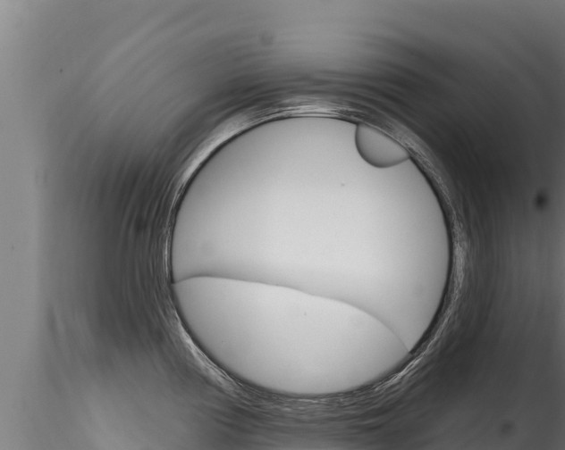 X0000116281194200911301033