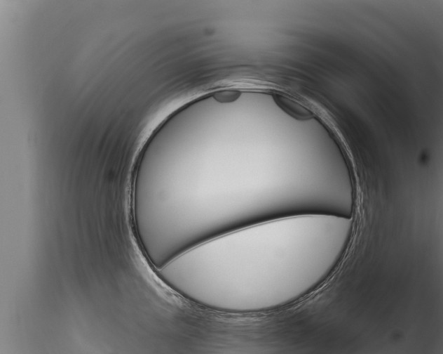 X0000116281195200911301033