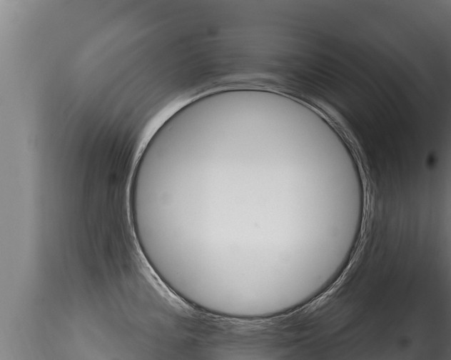 X0000116281196200911301033